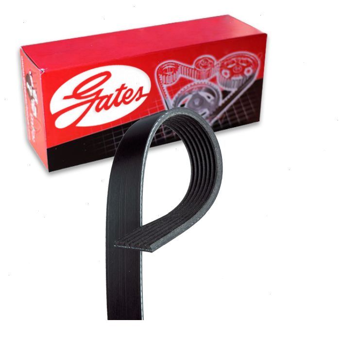 Gates Micro-V K070539 Serpentine Belt for 11287557257 11287572069 