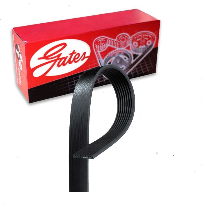 Gates Micro-V K080926 Serpentine Belt for 0123415078 0128415078 