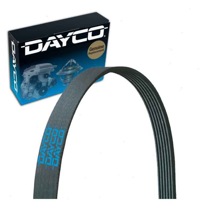 Dayco 5100503 Serpentine Belt 