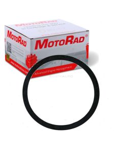MotoRad Engine Coolant Thermostat Seal