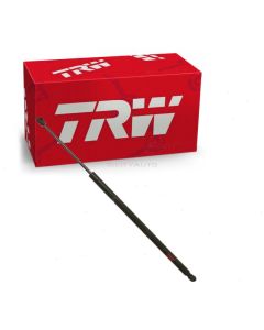 TRW Liftgate Lift Support