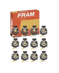 FRAM Air Cleaner Air Restriction Indicator