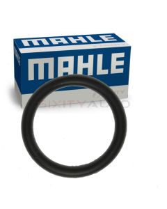 MAHLE Oil Filter Mounting Bolt Seal