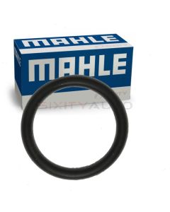 MAHLE Oil Filter Mounting Bolt Seal
