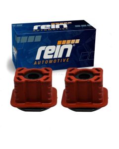 Rein Radiator Mount