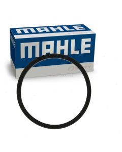 MAHLE Engine Oil Cooler Gasket