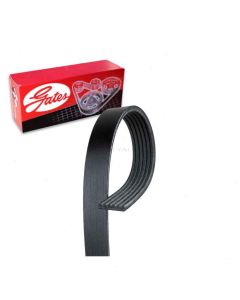 Gates Serpentine Belt