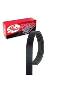 Gates Serpentine Belt