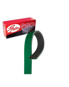 Gates Serpentine Belt