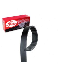 Gates Serpentine Belt