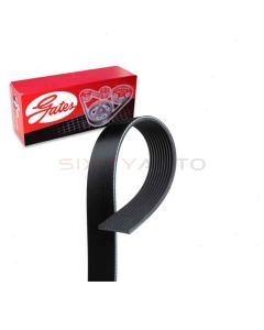 Gates Serpentine Belt