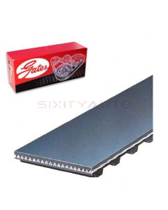 Gates Engine Timing Belt