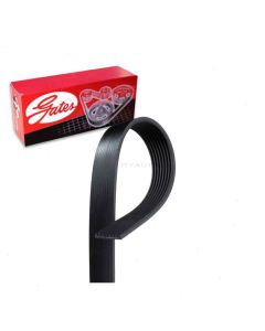 Gates Serpentine Belt