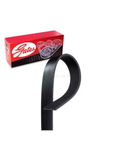 Gates Serpentine Belt