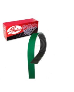 Gates Serpentine Belt