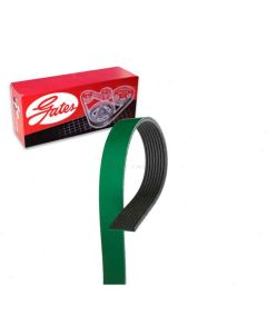 Gates Serpentine Belt