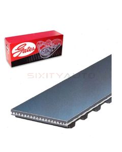 Gates Engine Timing Belt