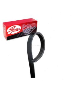 Gates Serpentine Belt