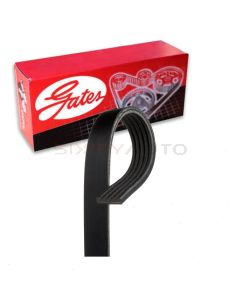 Gates Stretch Fit Micro-V Serpentine Belt