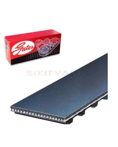Gates Engine Timing Belt