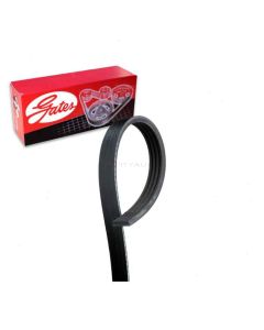 Gates Serpentine Belt