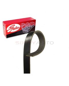 Gates Serpentine Belt