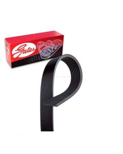 Gates Serpentine Belt