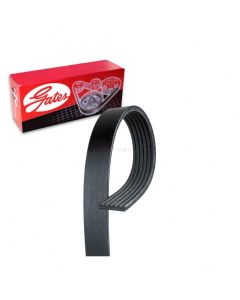 Gates Serpentine Belt