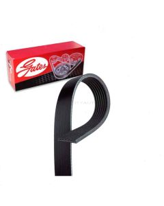 Gates Serpentine Belt