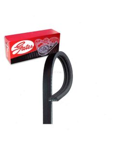 Gates Serpentine Belt