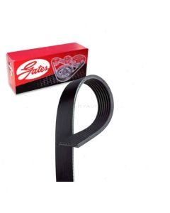 Gates Serpentine Belt