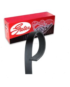 Gates Stretch Fit Micro-V Serpentine Belt