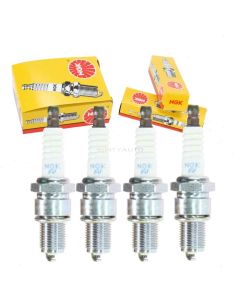 NGK Standard