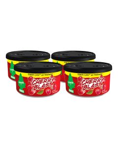 LITTLE TREES Fiber Can