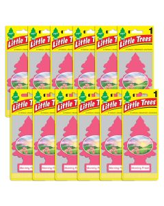 LITTLE TREES Hanging Air Freshener
