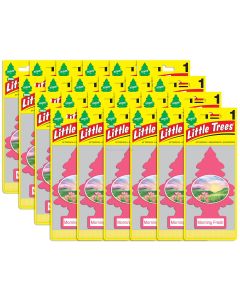LITTLE TREES Hanging Air Freshener