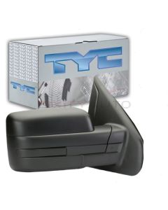 TYC Door Mirror