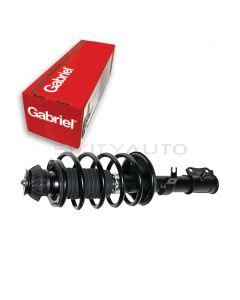 Gabriel Suspension Strut Assembly