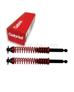Gabriel Shock Absorber