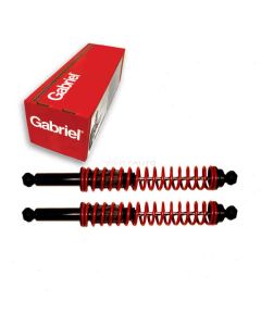 Gabriel Shock Absorber