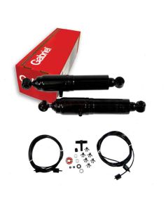 Gabriel Shock Absorber