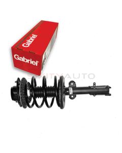 Gabriel Suspension Strut Assembly