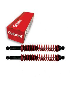 Gabriel Shock Absorber
