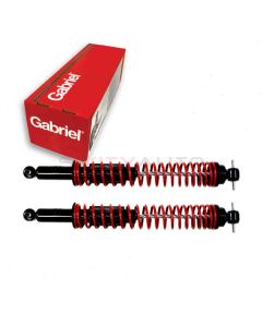 Gabriel Shock Absorber