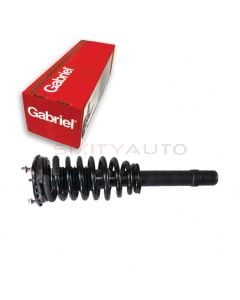 Gabriel Suspension Strut Assembly