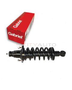 Gabriel Suspension Strut Assembly