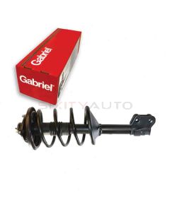 Gabriel Suspension Strut Assembly