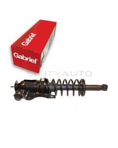 Gabriel Suspension Strut Assembly