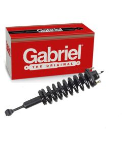 Gabriel Suspension Strut Assembly