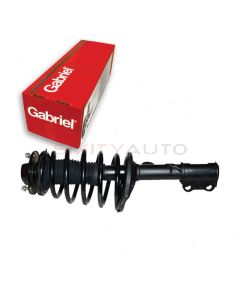 Gabriel Suspension Strut Assembly